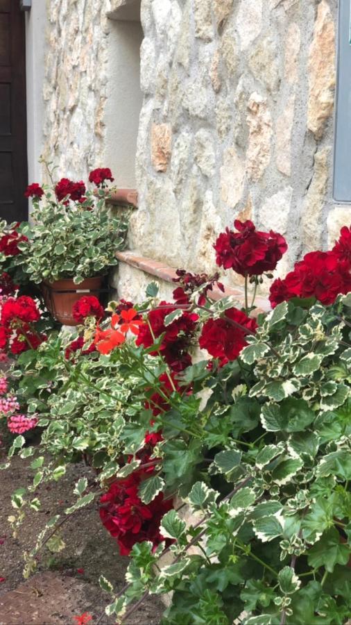 La Casetta Di Elena Lamezia Terme Εξωτερικό φωτογραφία