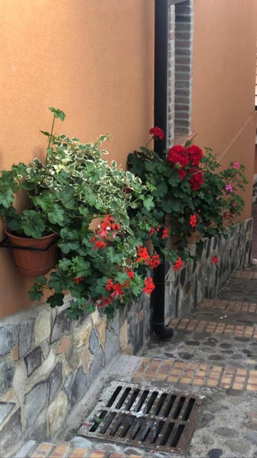 La Casetta Di Elena Lamezia Terme Εξωτερικό φωτογραφία